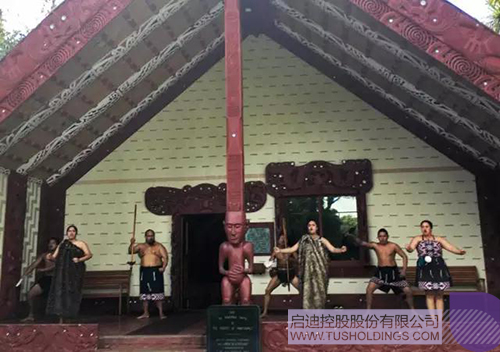 PP电子·(中国)官方网站