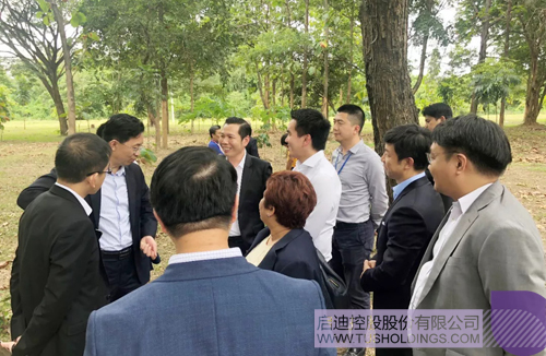 PP电子·(中国)官方网站